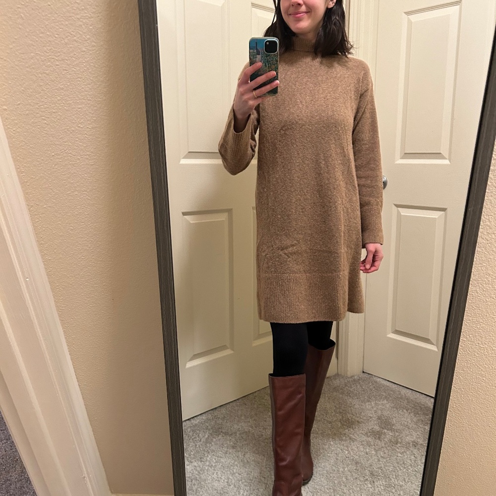 Everlane wool blend sweater dress